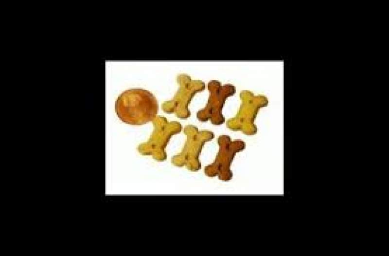 Back-Snackies MINI